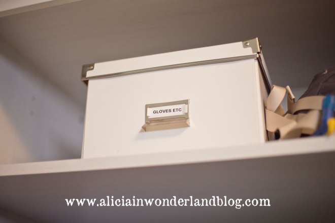 Alicia in Wonderland Blog - Entry Room Updates
