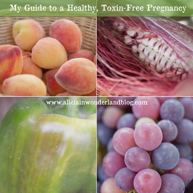 Alicia in Wonderland Blog - My Guide To a Healthy, Toxin-Free Pregnancy